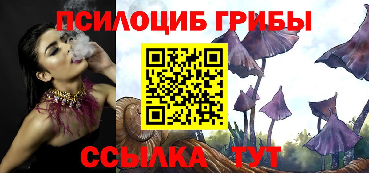 Галлюциногенные грибы прущие грибы Павловский Посад