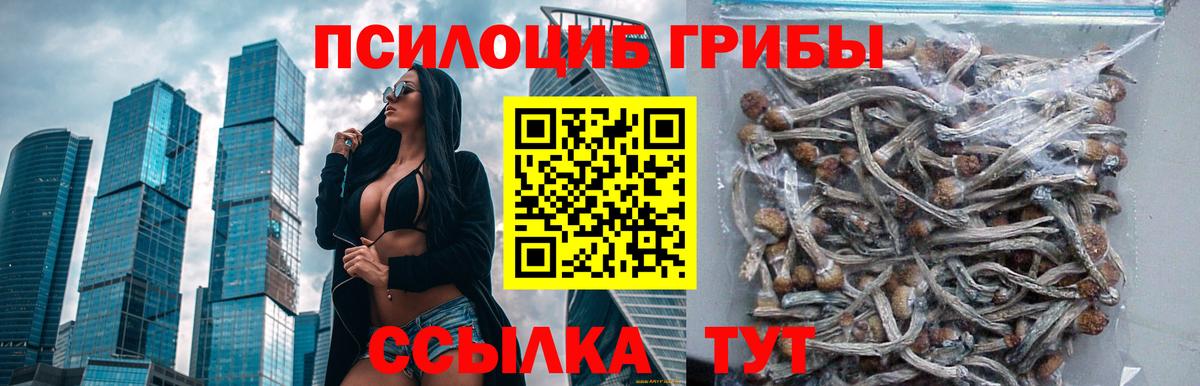 Псилоцибиновые грибы ЛСД  Вход с VPN  Павловский Посад 